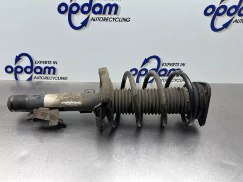 Schokdemperpoot rechts-voor-8260013