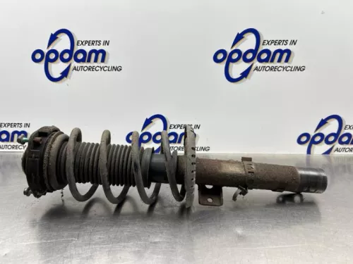 Schokdemperpoot rechts-voor-8292555