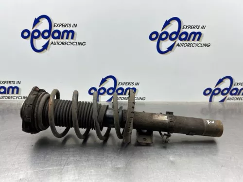 Schokdemperpoot rechts-voor-8309854