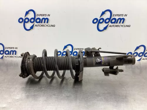 Schokdemperpoot rechts-voor-8078726