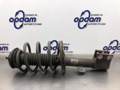 Schokdemperpoot rechts-voor-8221899