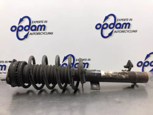 Schokdemperpoot rechts-voor-8270613