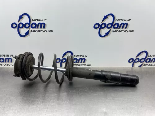 Schokdemperpoot rechts-voor-8192736