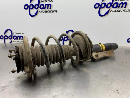 Schokdemperpoot rechts-voor-8220831