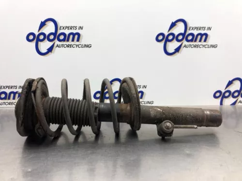 Schokdemperpoot rechts-voor-8194042