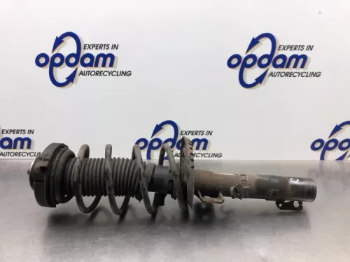 Schokdemperpoot rechts-voor-8259700