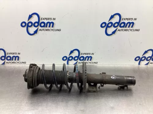 Schokdemperpoot rechts-voor-8066168