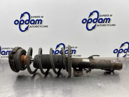 Schokdemperpoot rechts-voor-8314992