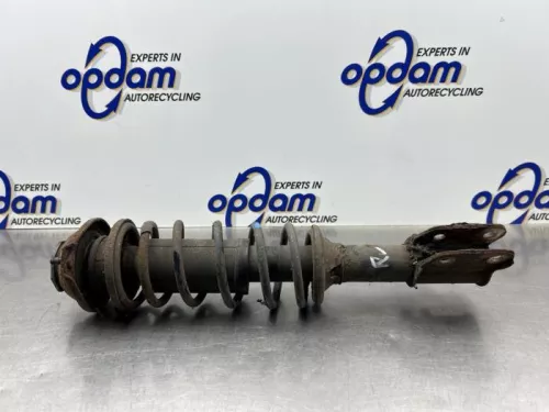 Schokdemperpoot rechts-voor-8318010