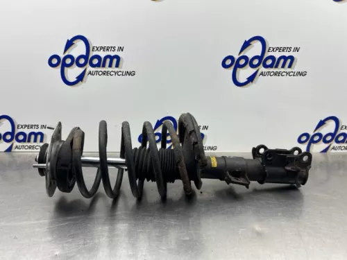 Schokdemperpoot rechts-voor-8298773