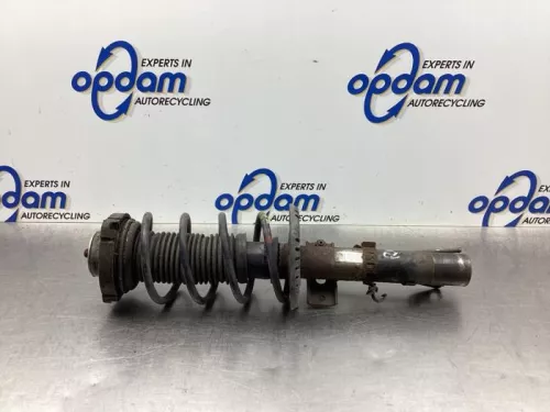 Schokdemperpoot rechts-voor-7928725