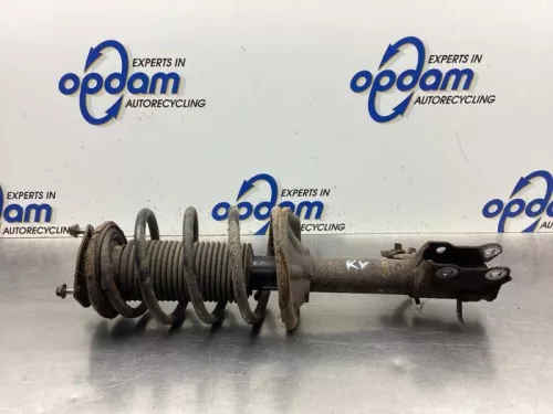 Schokdemperpoot rechts-voor-8125071