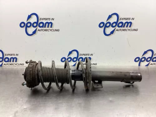 Schokdemperpoot rechts-voor-8146060