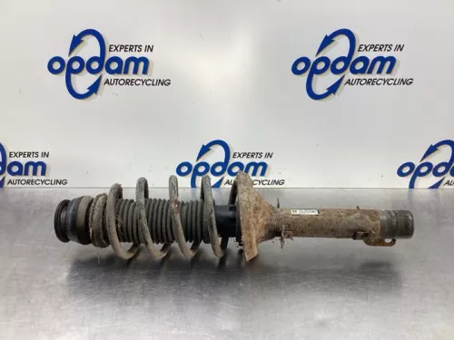 Schokdemperpoot rechts-voor-8028984