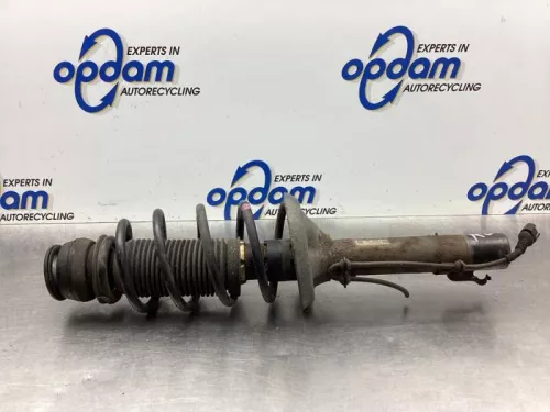 Schokdemperpoot rechts-voor-8055435