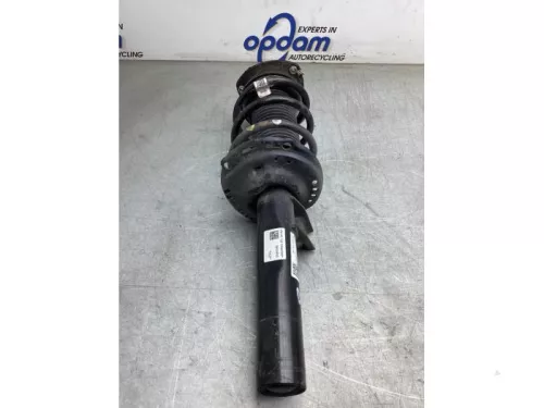 Schokdemperpoot rechts-voor-8190783