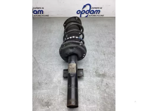 Schokdemperpoot rechts-voor-8241374