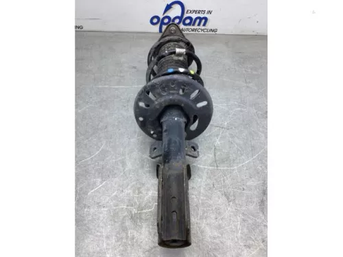 Schokdemperpoot rechts-voor-8050256