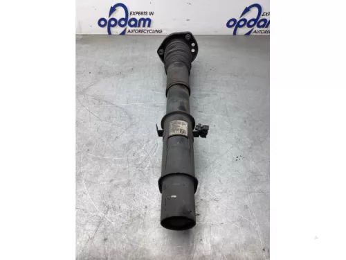 Schokdemperpoot rechts-voor-8212733