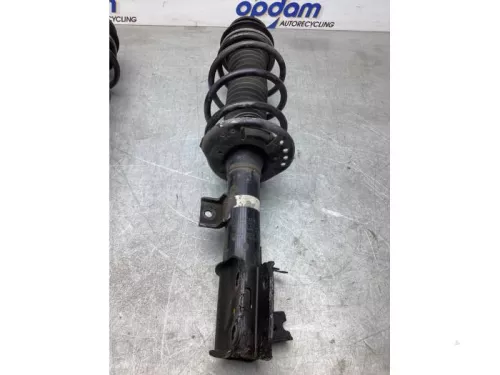 Schokdemperpoot rechts-voor-7916698