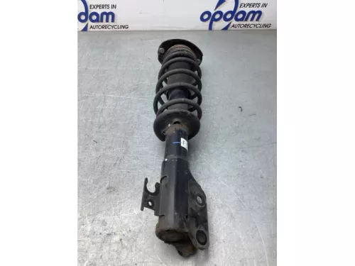 Schokdemperpoot rechts-voor-8135112