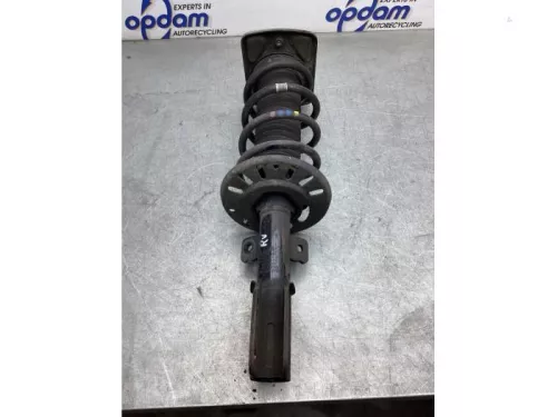 Schokdemperpoot rechts-voor-8075928