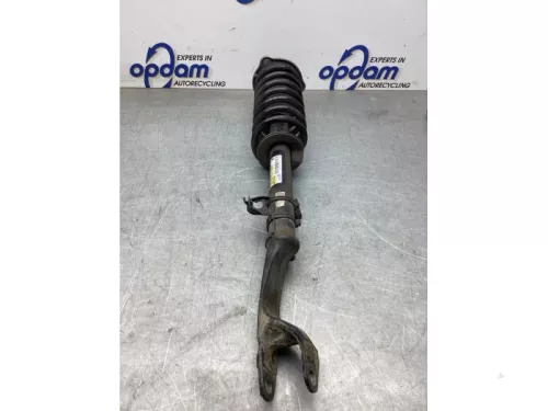 Schokdemperpoot rechts-voor-8201781