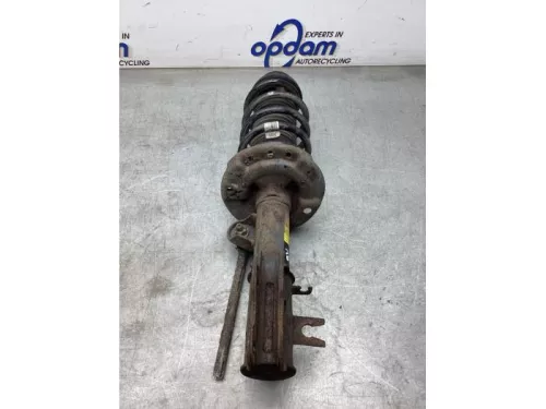 Schokdemperpoot rechts-voor-8140572