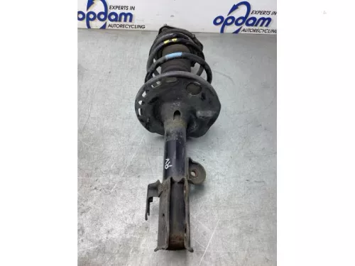 Schokdemperpoot rechts-voor-8043966