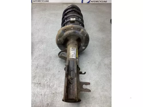 Schokdemperpoot rechts-voor-8171725