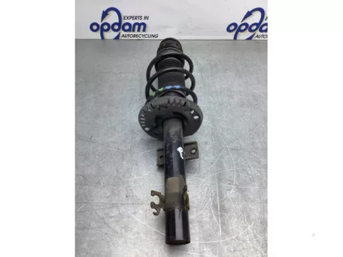 Schokdemperpoot rechts-voor-8183672