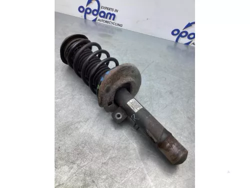 Schokdemperpoot rechts-voor-6799380