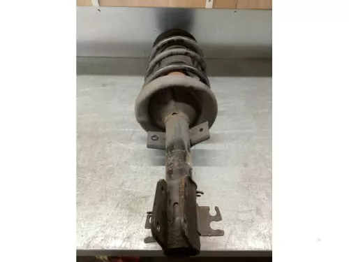 Schokdemperpoot rechts-voor-7613839