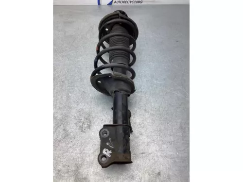 Schokdemperpoot rechts-voor-7875794