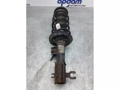 Schokdemperpoot rechts-voor-7615965