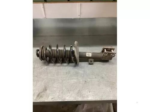 Schokdemperpoot rechts-voor-6056994