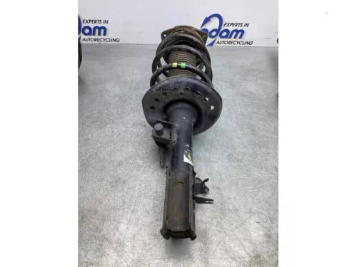 Schokdemperpoot rechts-voor-7915602