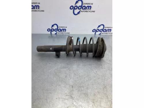 Schokdemperpoot rechts-voor-6800324