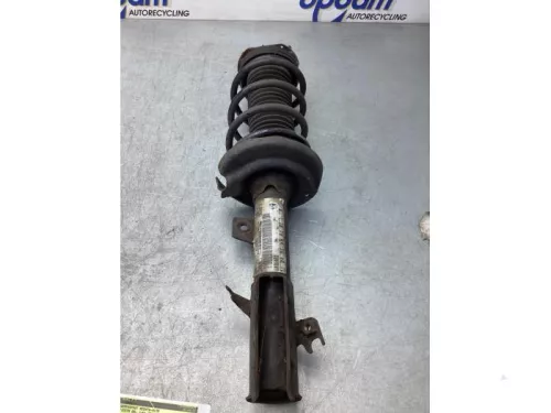 Schokdemperpoot rechts-voor-8030112