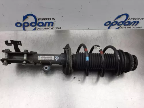 Schokdemperpoot rechts-voor-7876832