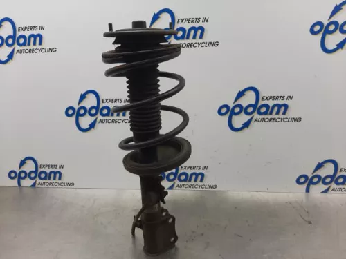 Schokdemperpoot rechts-voor-7876866