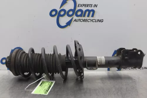 Schokdemperpoot rechts-voor-7877053