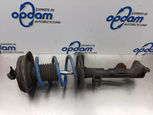 Schokdemperpoot rechts-voor-7612467