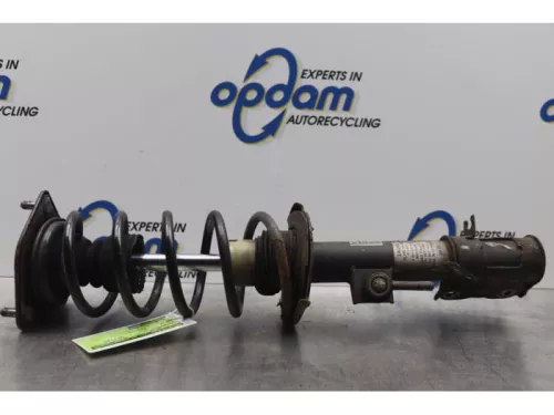 Schokdemperpoot rechts-voor-7880412