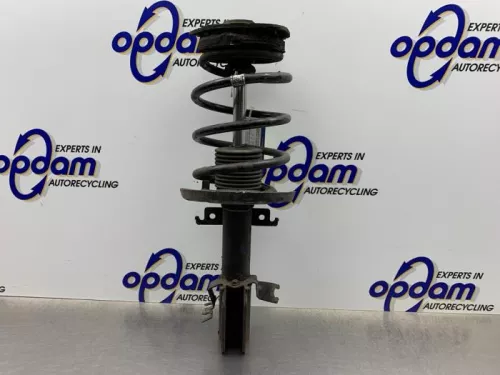 Schokdemperpoot rechts-voor-7616102