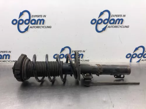 Schokdemperpoot rechts-voor-7881095