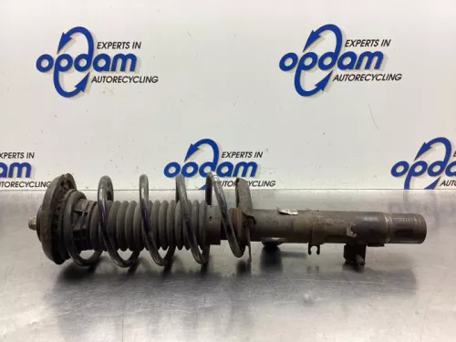 Schokdemperpoot rechts-voor-7878667