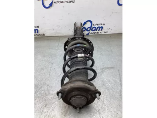 Schokdemperpoot rechts-voor-8253942