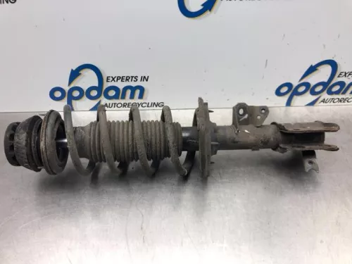 Schokdemperpoot rechts-voor-7587298