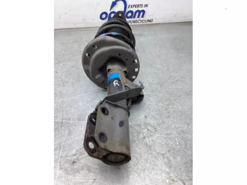 Schokdemperpoot rechts-voor-8044612